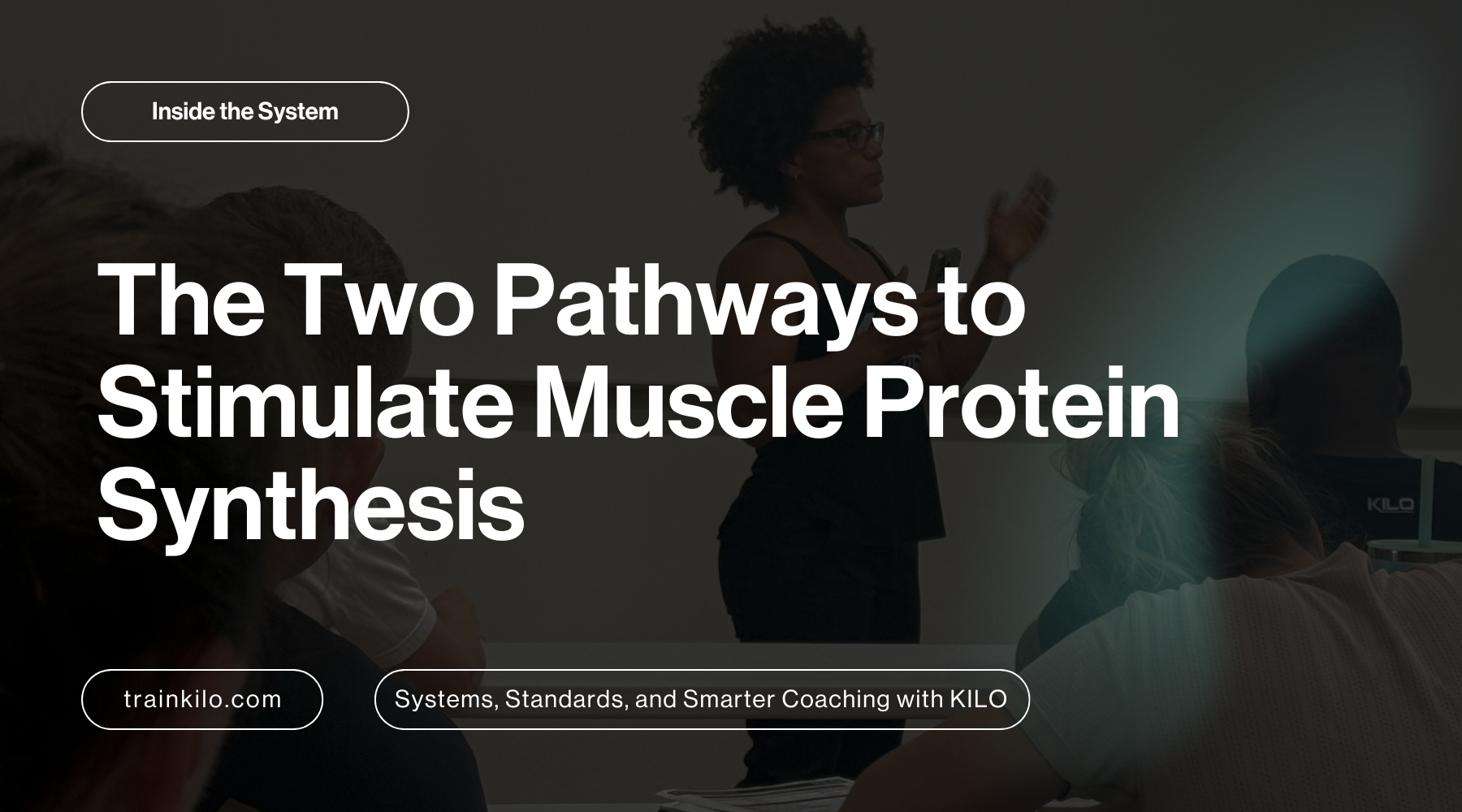 The Two Pathways to Stimulate Muscle Protein Synthesis