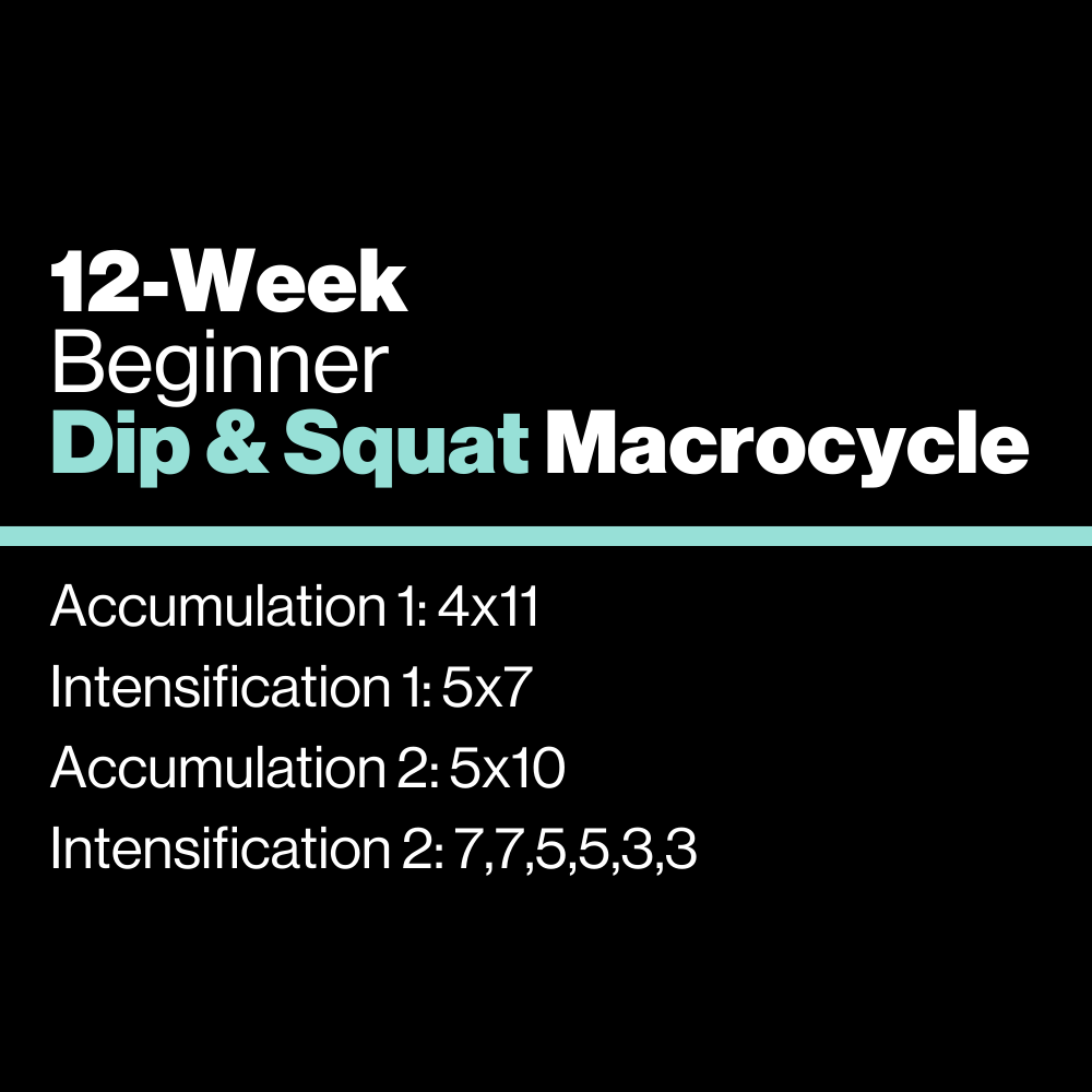 Beginner: Dip & Squat Macrocycle - KILO Strength Society