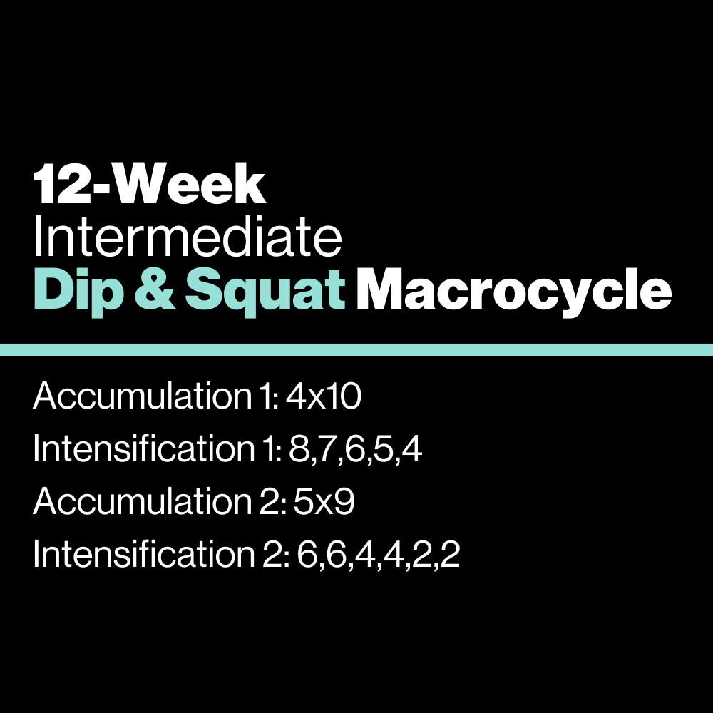 Intermediate: Dip & Squat Macrocycle - KILO Strength Society