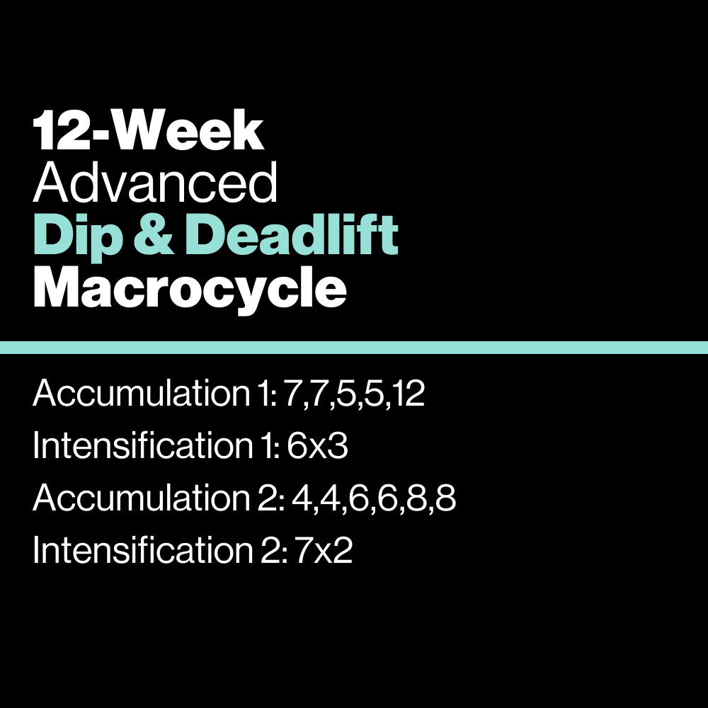 Advanced: Dip & Deadlift Macrocycle - KILO Strength Society