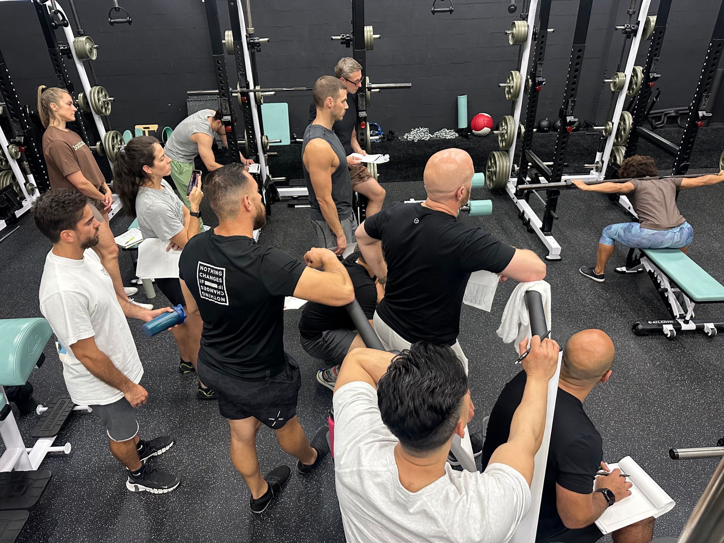 Body composition tracking and training progress