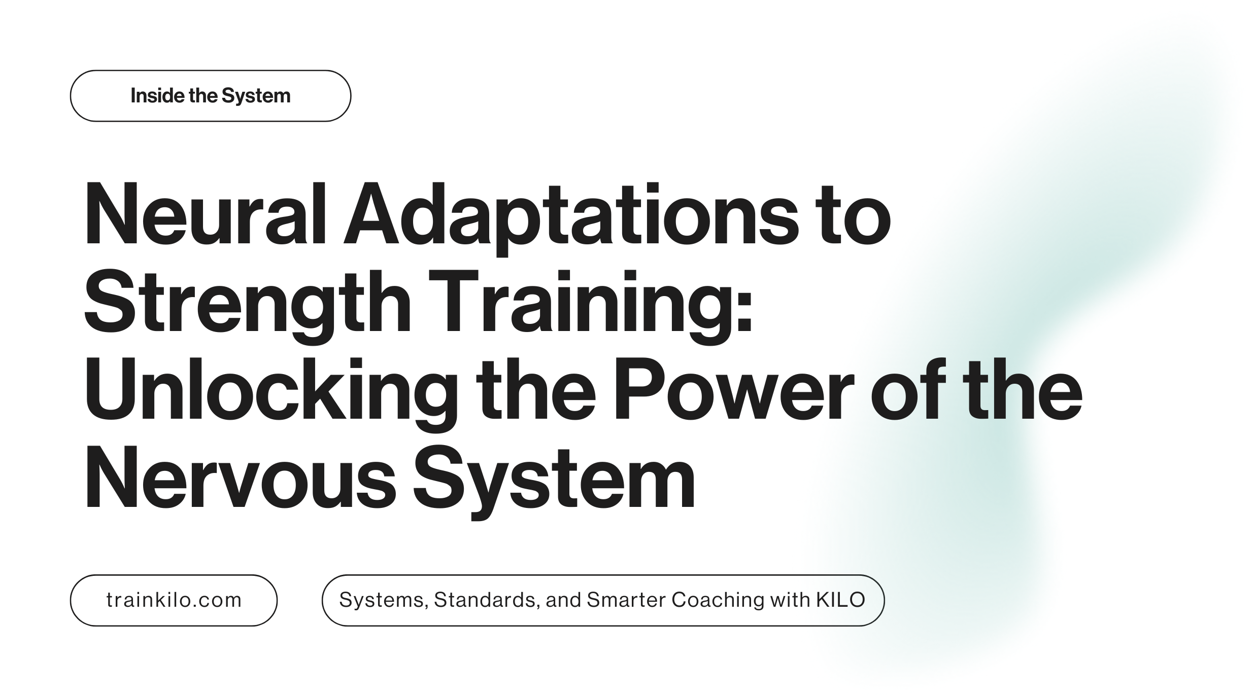 Neural Adaptations to Strength Training: Unlocking the Power of the Nervous System
