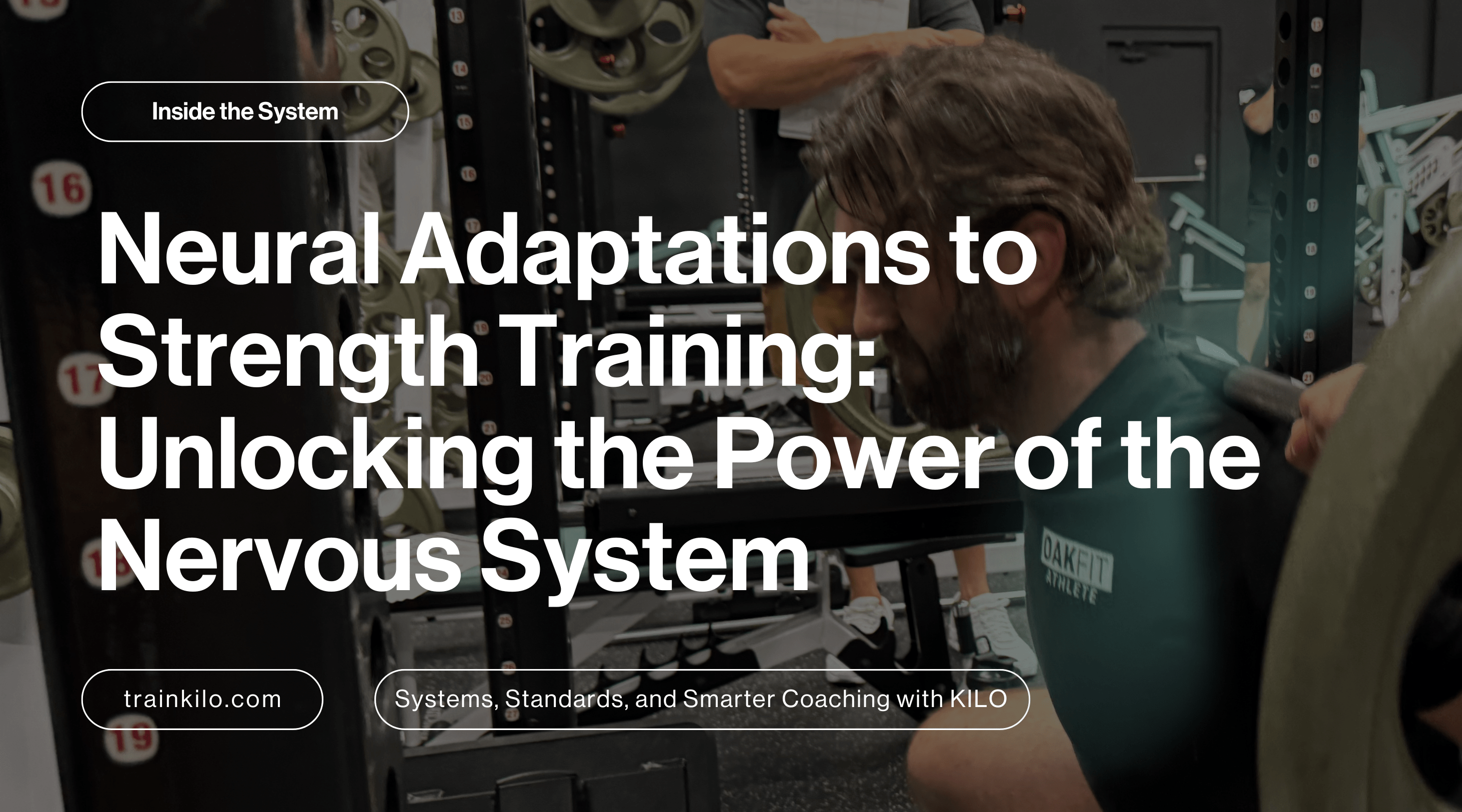 Neural Adaptations to Strength Training: Unlocking the Power of the Nervous System