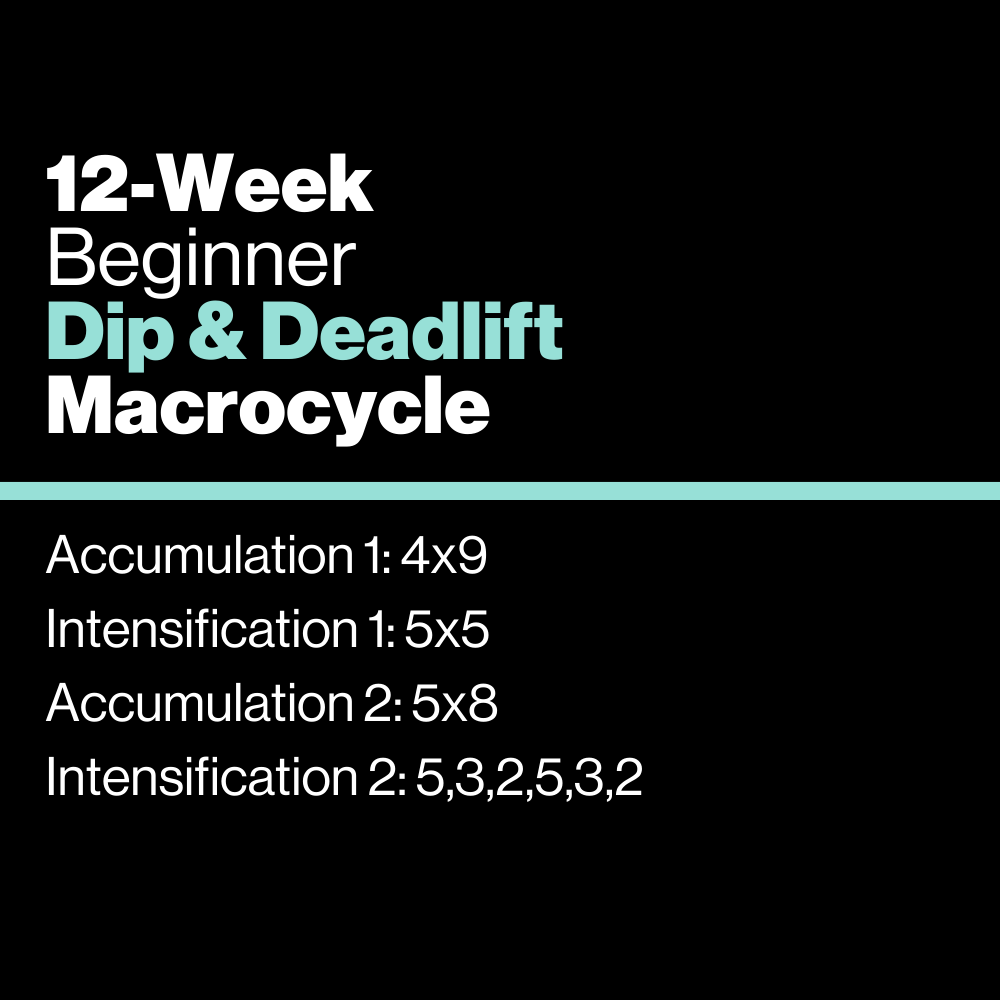 Beginner: Dip & Deadlift Macrocycle