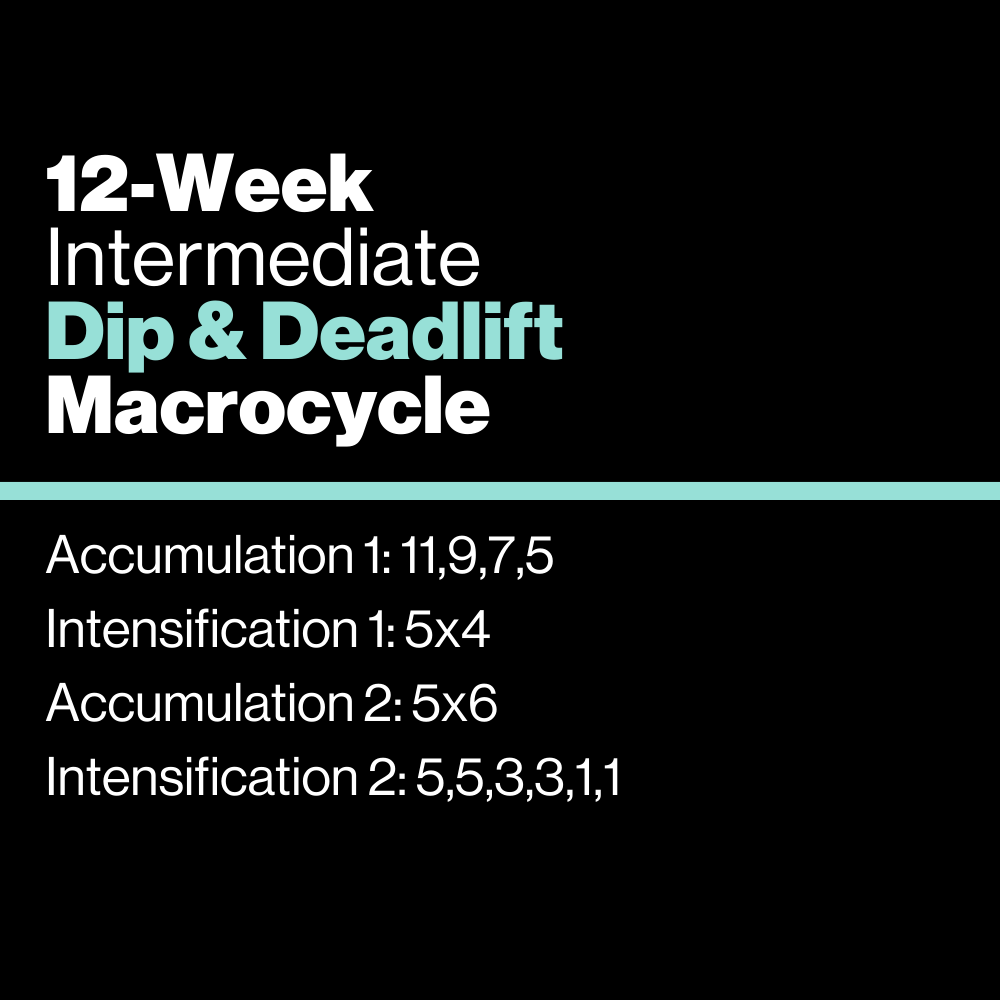 Intermediate: Dip & Deadlift Macrocycle